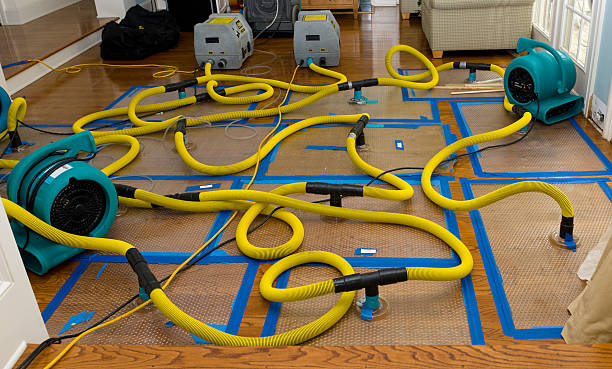 Professional Structural Drying And Dehumidification technician working in Bellerose, NY